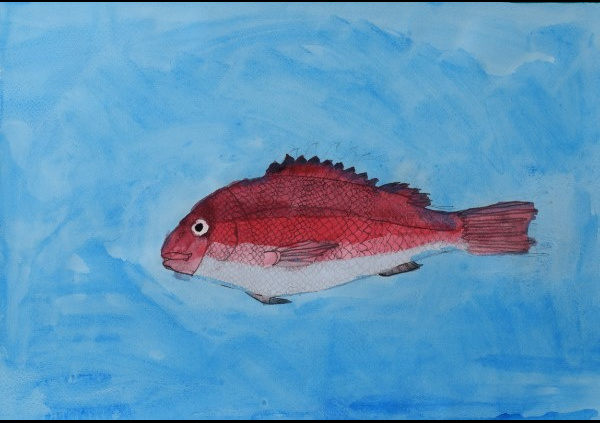 子ども観察ー太田