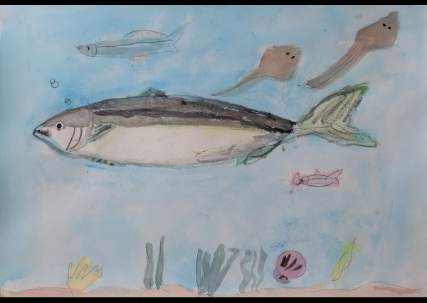 子ども観察ー佐々木